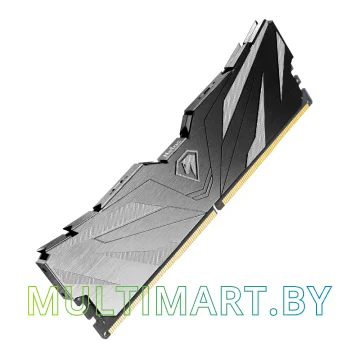 Оперативная память Netac Shadow II 2x8GB DDR5 PC5-38400 (NTSWD5P48DP-16K)